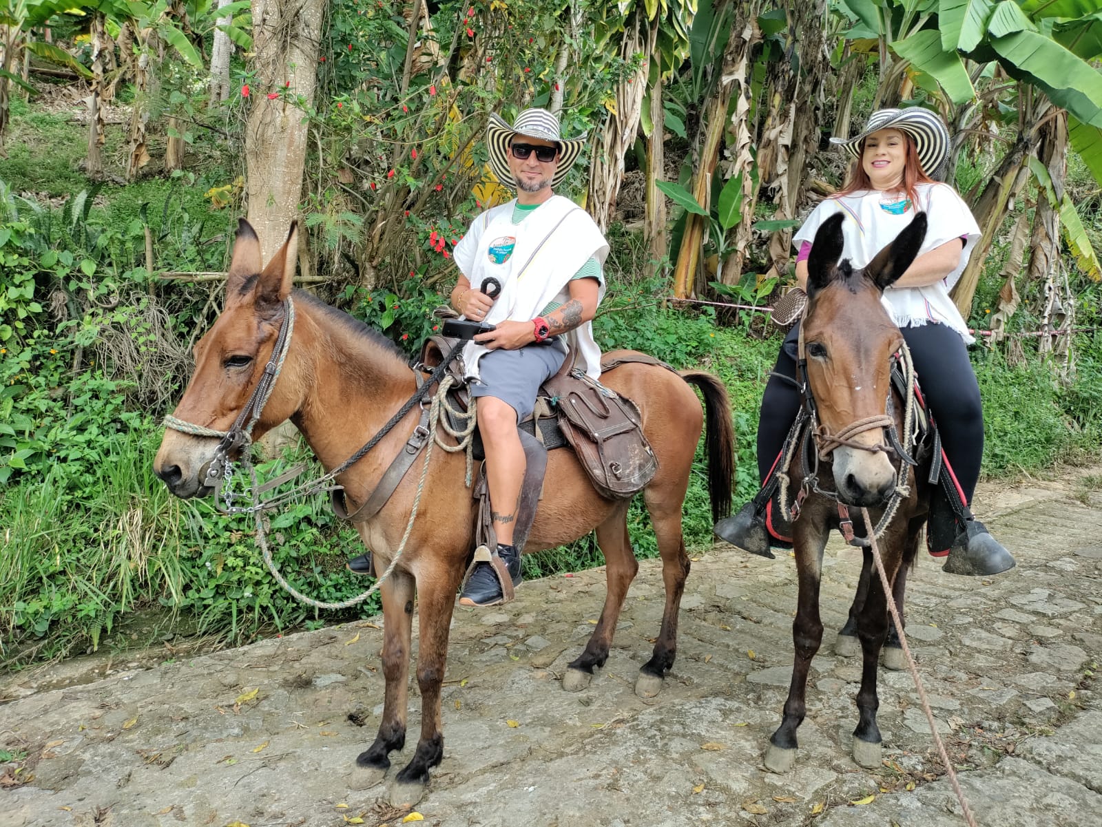 Experiencia Medellín